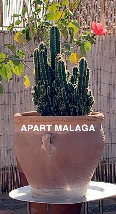 Appartement Plein Coeur Centre Historique De Малага Екстериор снимка